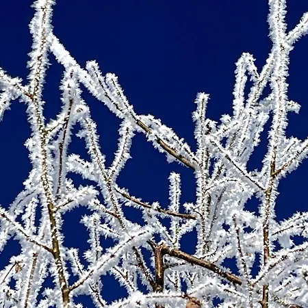 5-sterne Wohlfuehl-ferienhaus Eifellust Casa de Férias *