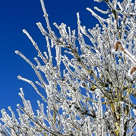 5-sterne Wohlfuehl-ferienhaus Eifellust