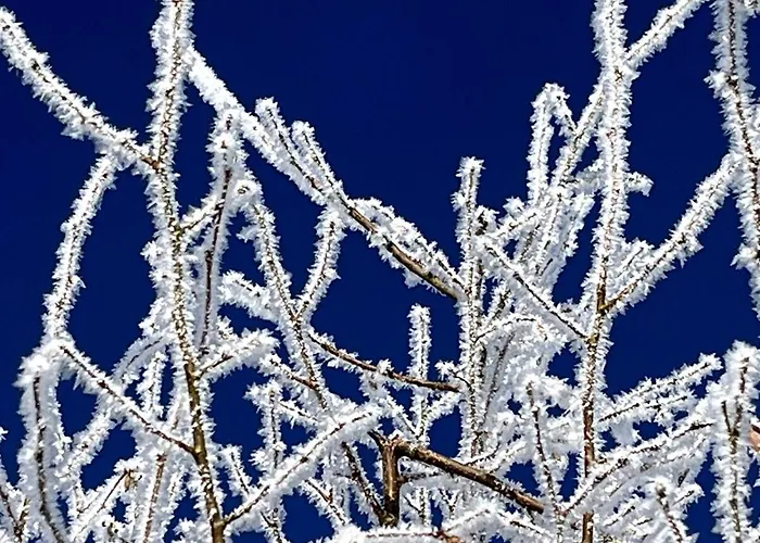 5-sterne Wohlfuehl-ferienhaus Eifellust Dom wakacyjny *