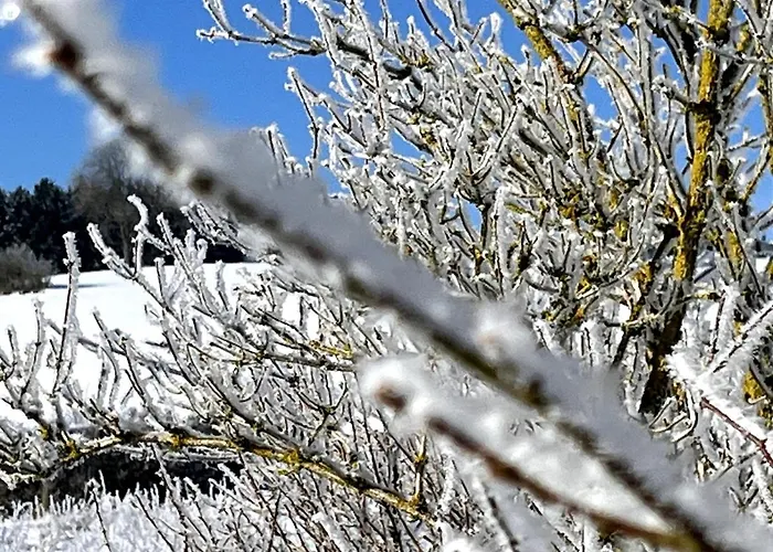 Dom wakacyjny 5-sterne Wohlfuehl-ferienhaus Eifellust *
