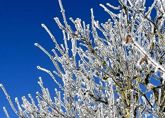 5-sterne Wohlfuehl-ferienhaus Eifellust